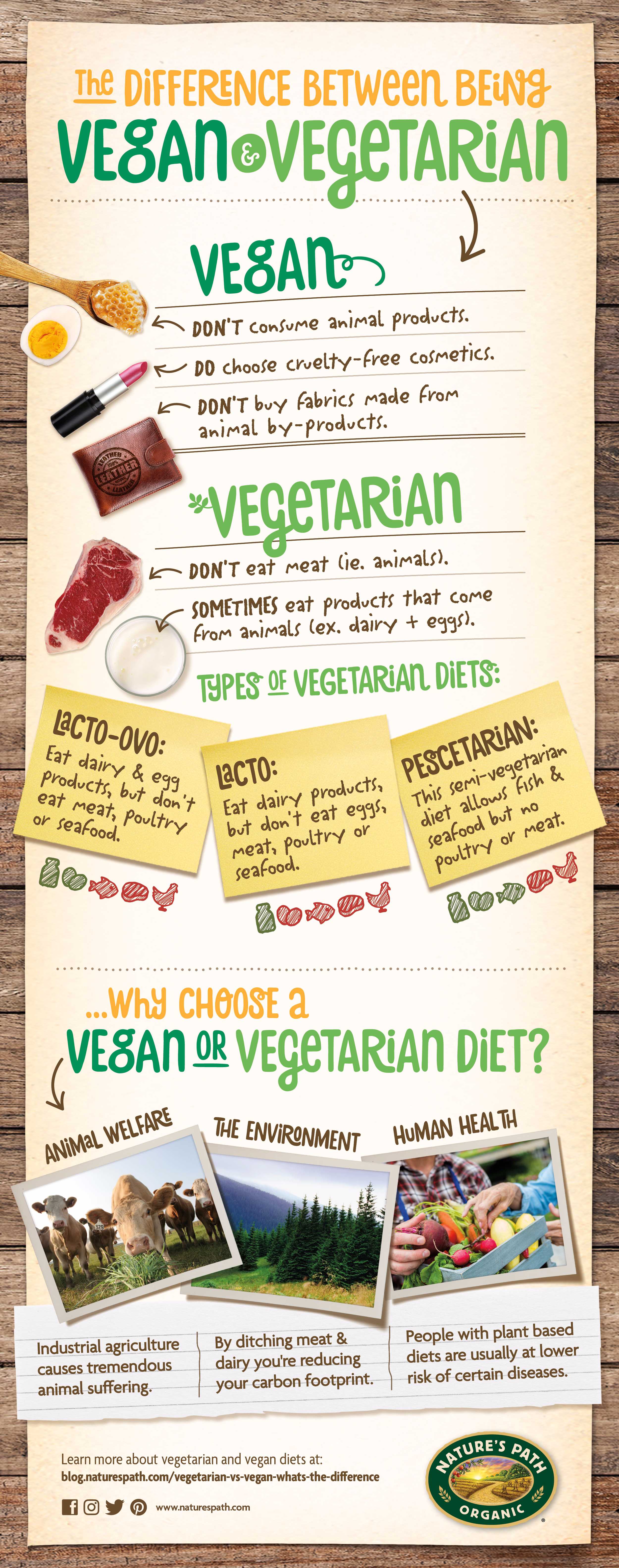 Vegan vs Vegetarian.jpg