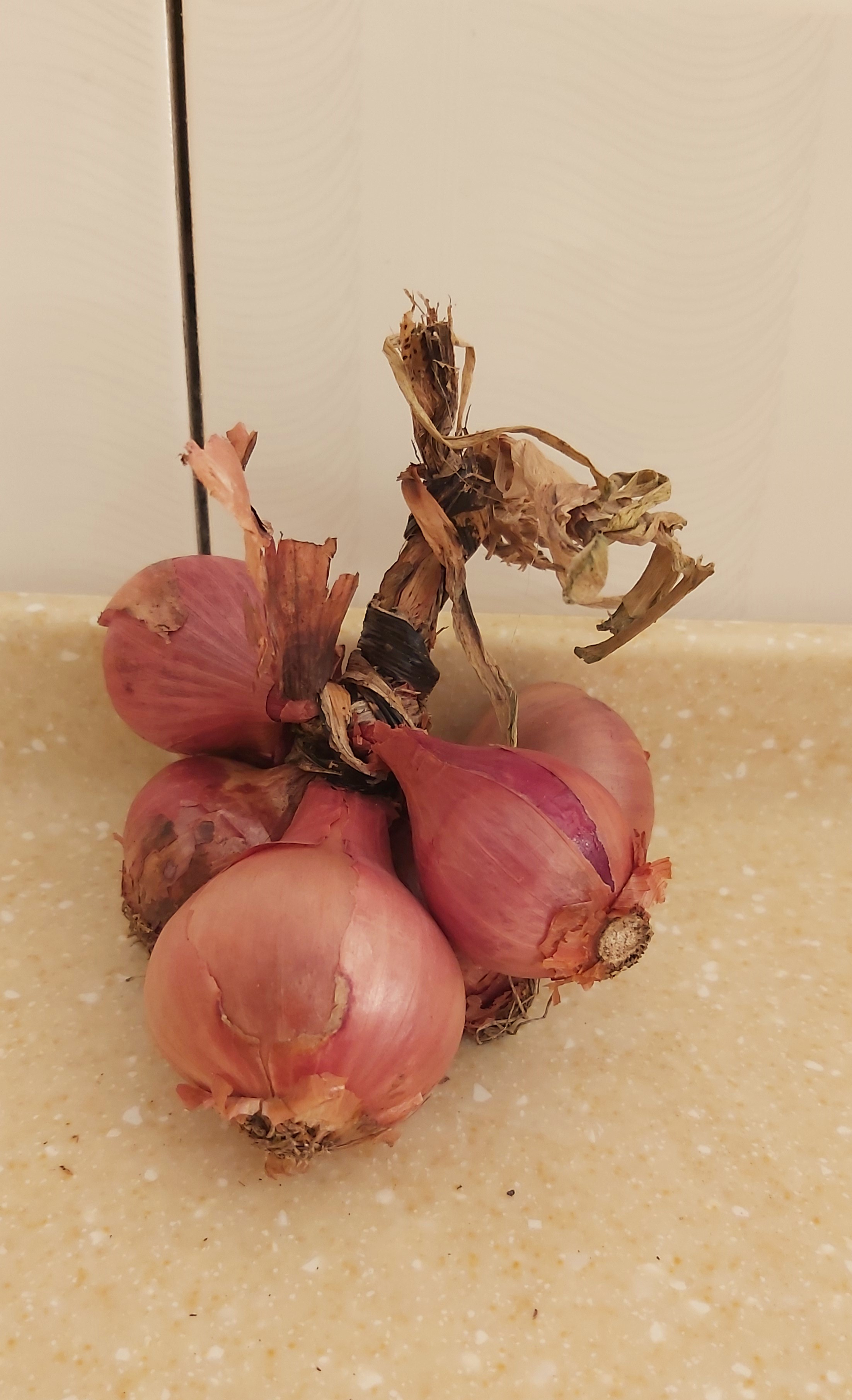 onions, cooking in uganda